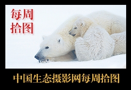 �Ї����B(t��i)�zӰ�W(w��ng)ÿ��ʰ�D